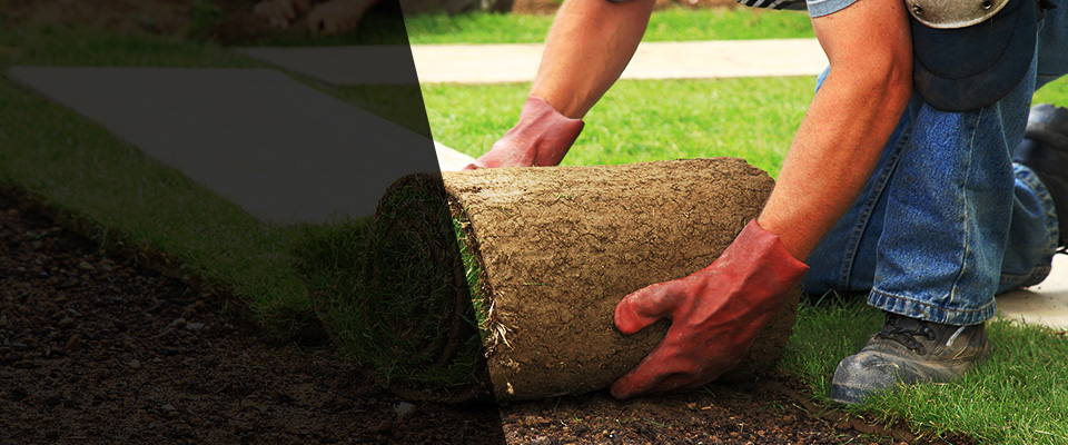 Stoughton Landscapers